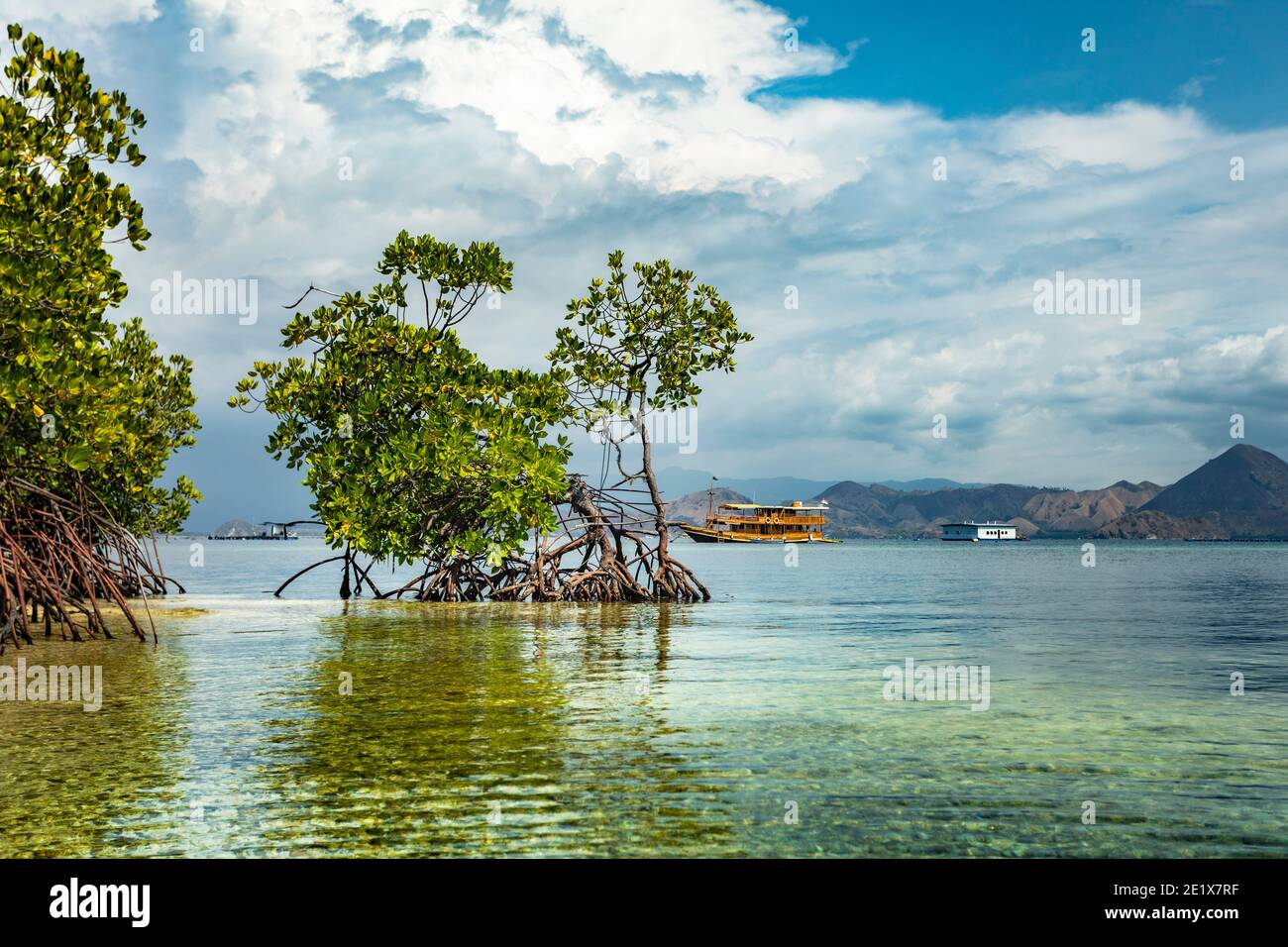 Verde lussureggiante mangrovie nel Parco Marino Nazionale di Komodo, Flores con una barca di spedizione sullo sfondo Foto Stock