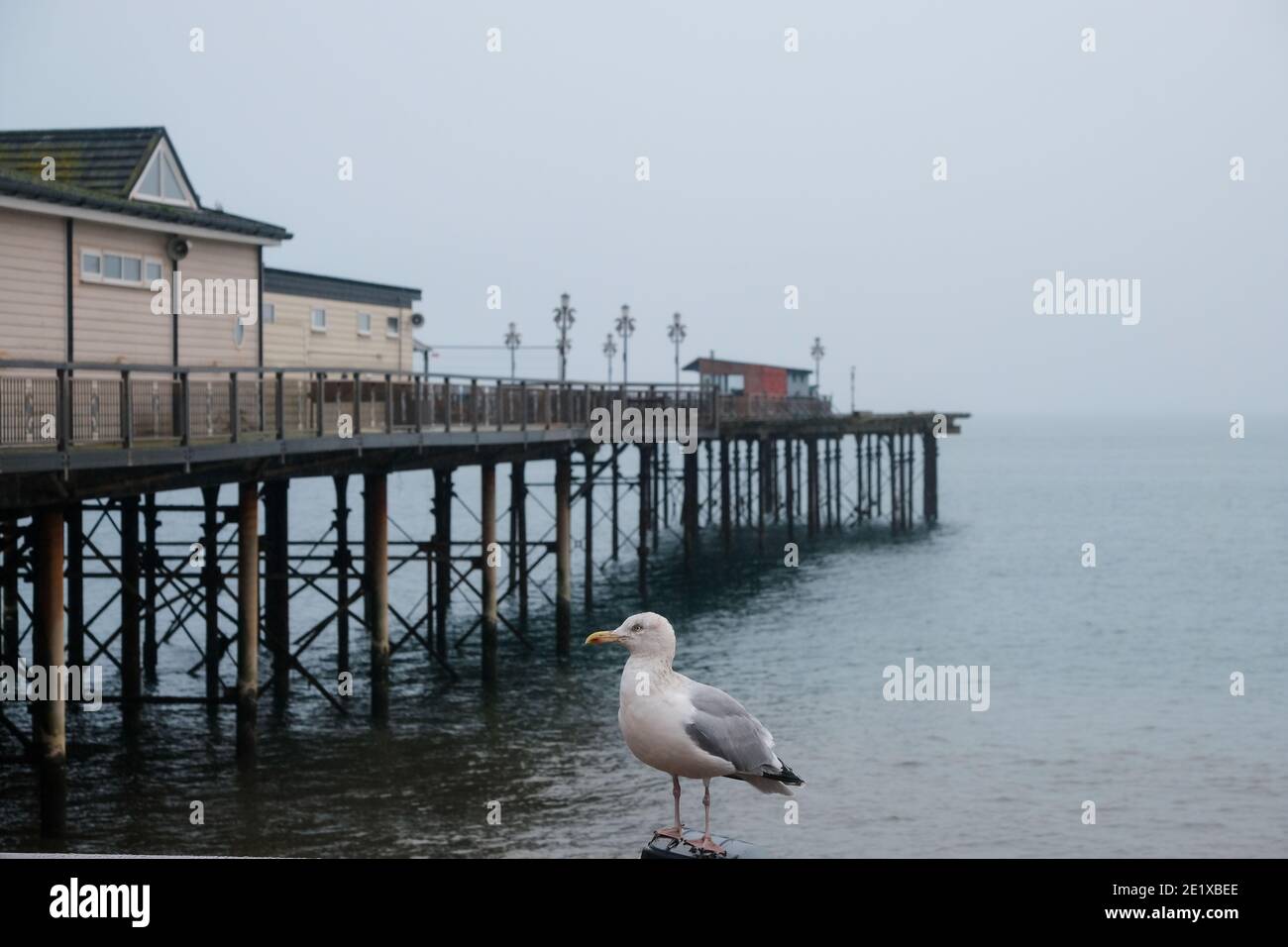 Il Vecchio Molo durante un mezzogiorno misty durante l'inverno, Teignmouth, Devon, Inghilterra Foto Stock