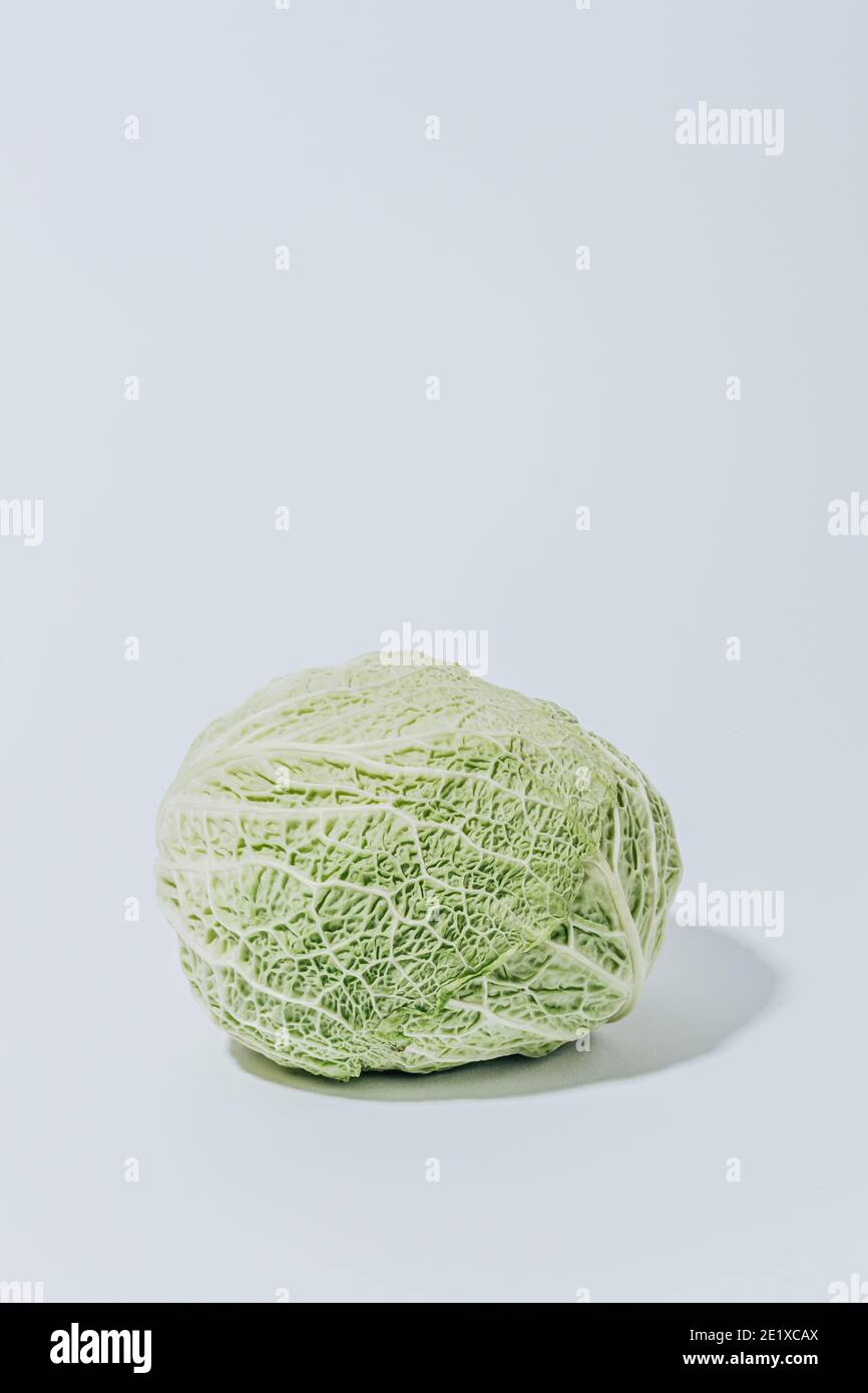 Cavolo crudo savoy su sfondo bianco Foto Stock