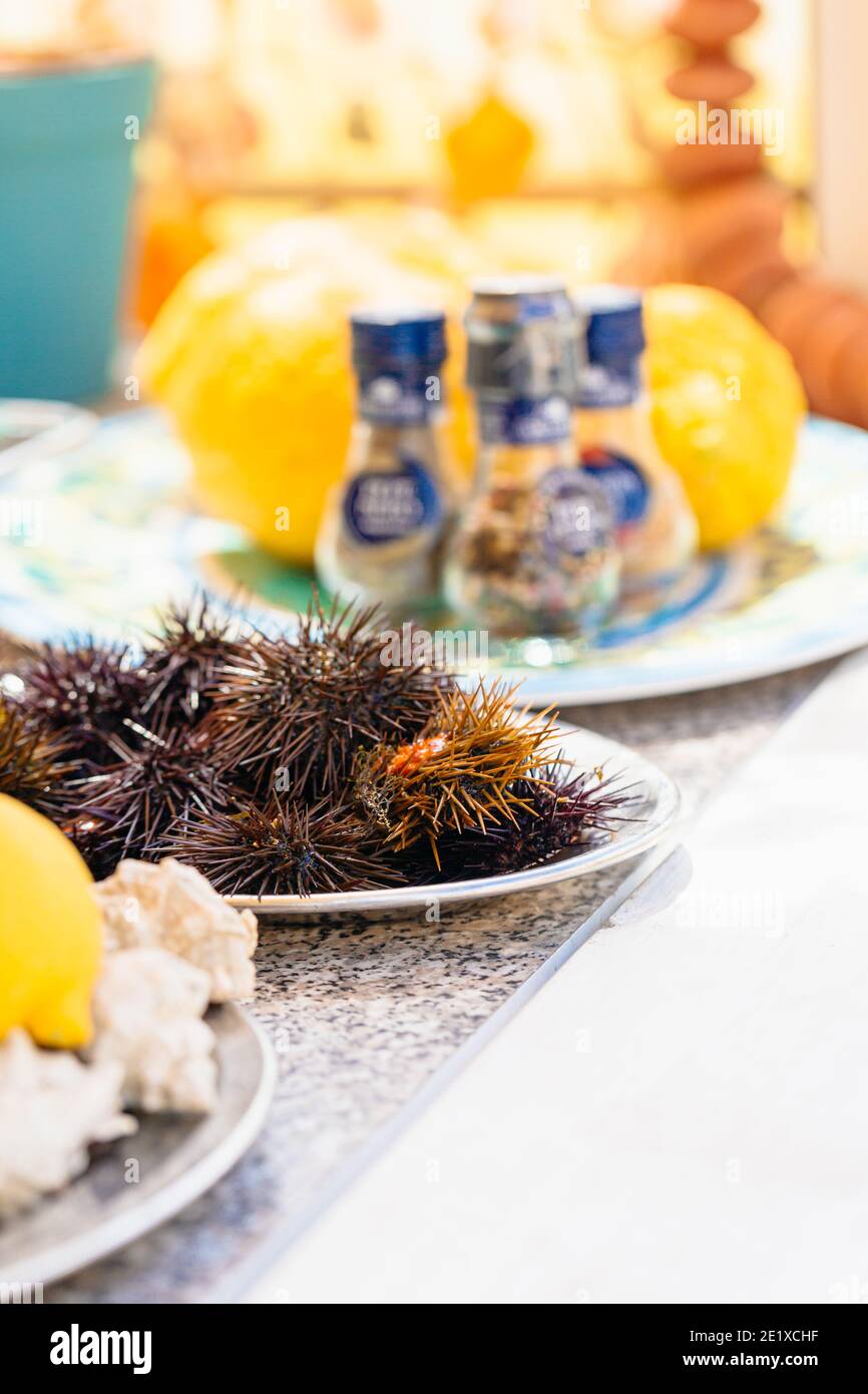 Riccio di mare fresco presso un ristorante a Mondello (Palermo), Sicilia Foto Stock