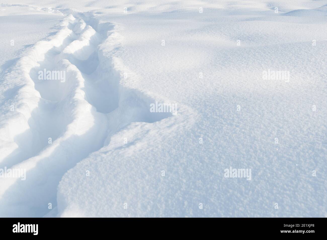 Percorso stretto attraverso la neve profonda in campo di neve Foto Stock