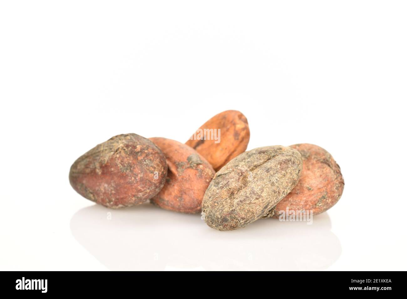 Cinque fagioli di cacao interi fritti, secchi, naturali e biologici uno sfondo bianco Foto Stock