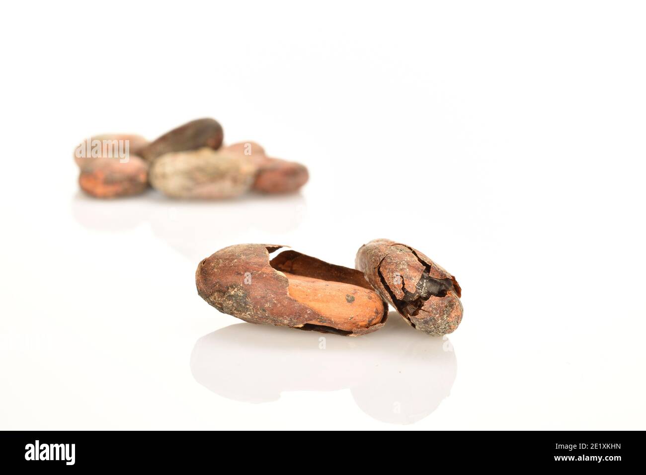 Due semi di cacao fritto bruno naturale sbucciati e secchi su fondo bianco, a fuoco e diversi fagioli sullo sfondo. Foto Stock