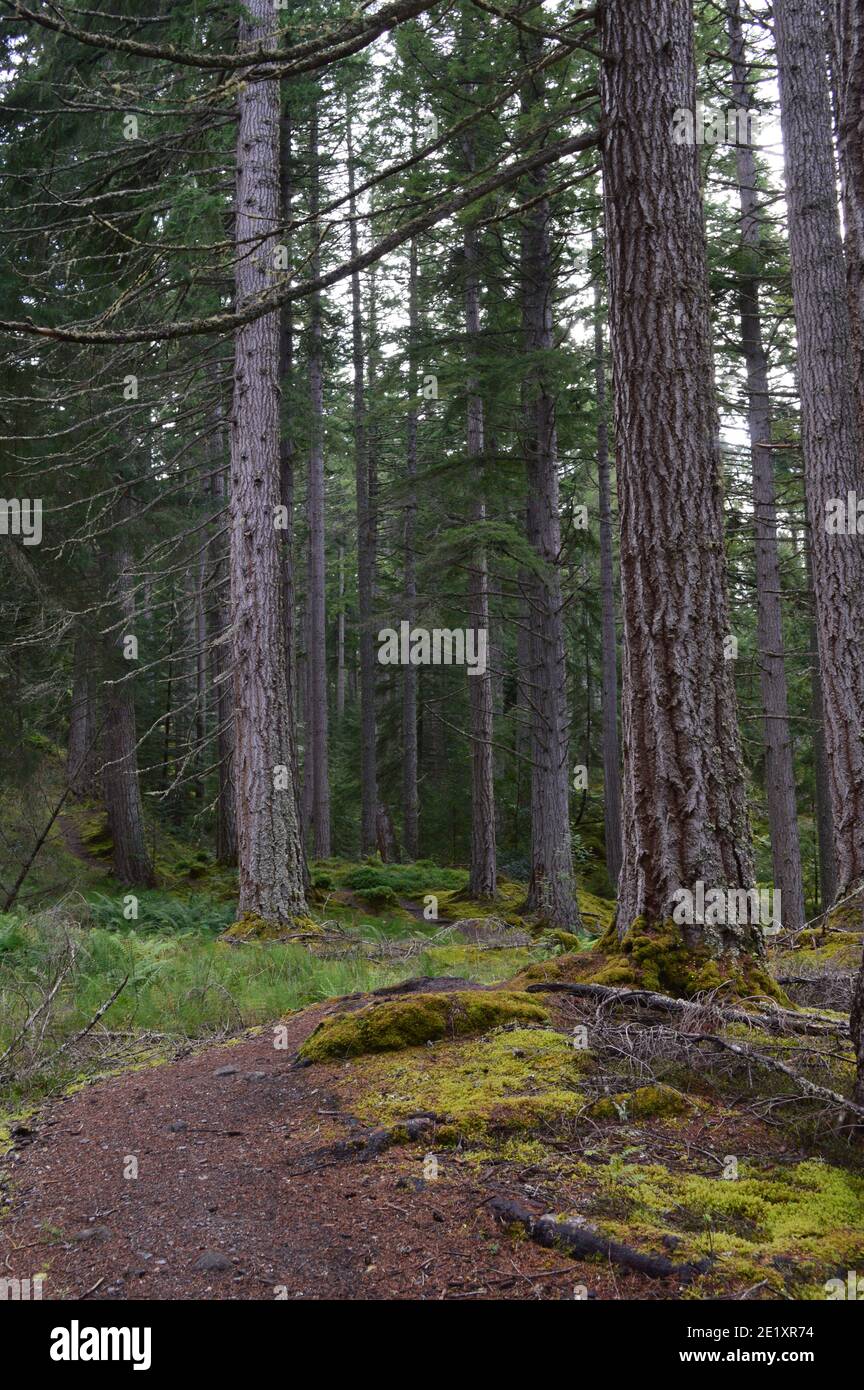 Scottish Highlands, Scozia, Regno Unito Foto Stock