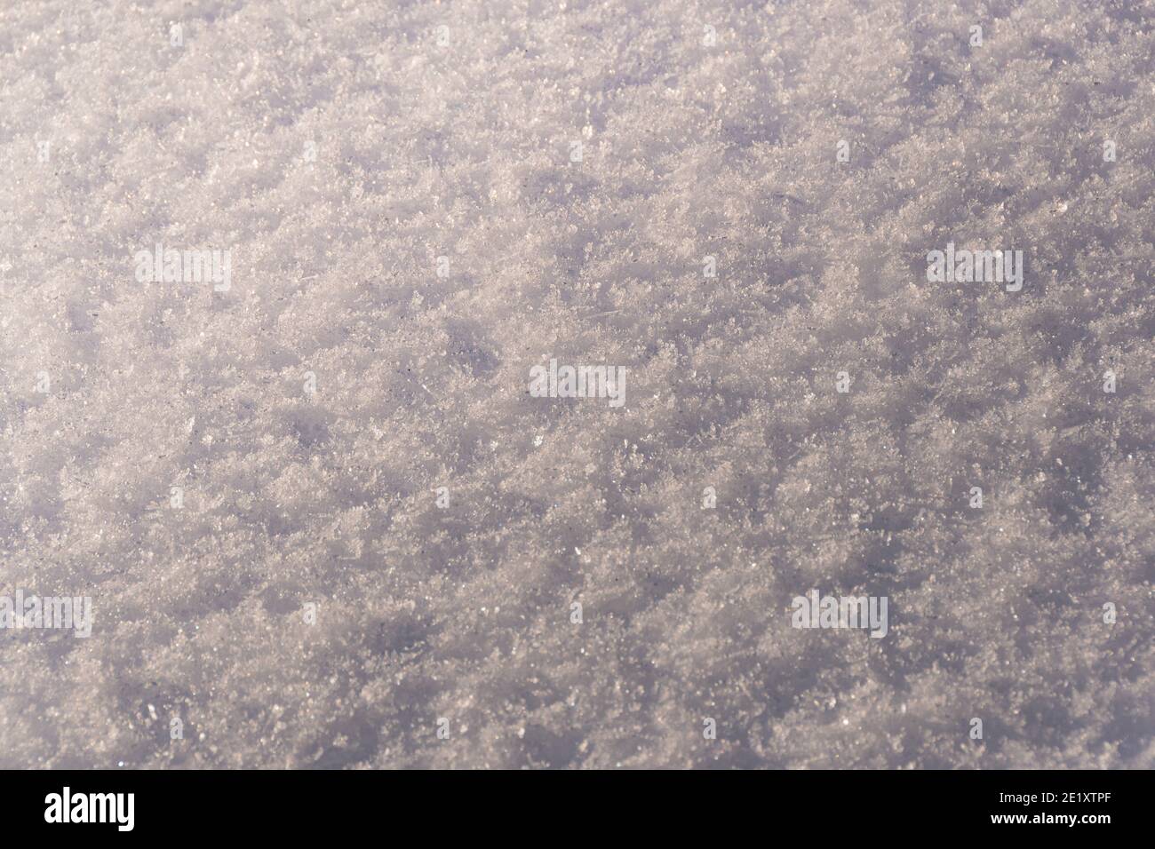 Neve bianca fresca e struttura di sfondo gelo Foto Stock