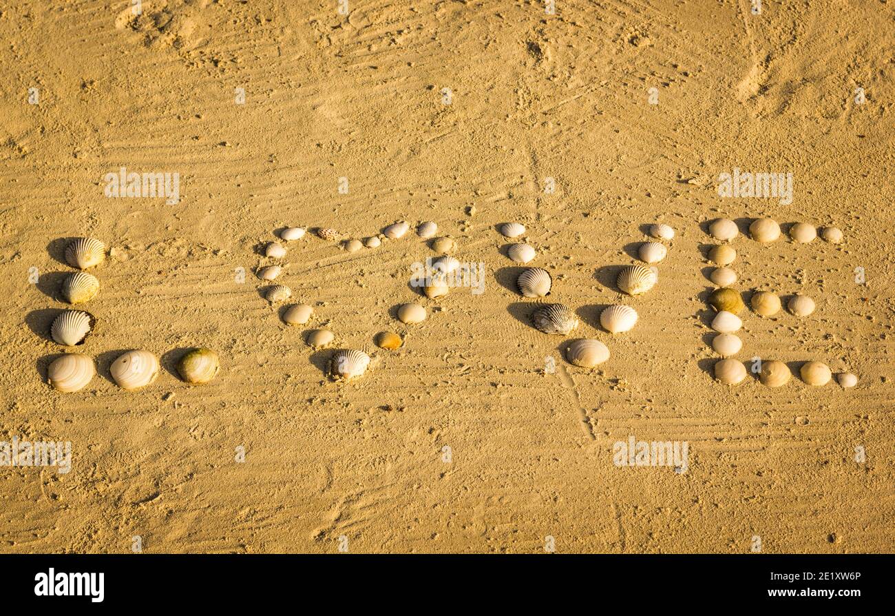 Vista dall'alto della parola amore scritta con conchiglie sulla sabbia In spiaggia e lettera o con una forma a cuore Per festeggiare un'occasione speciale come San Valentino Foto Stock