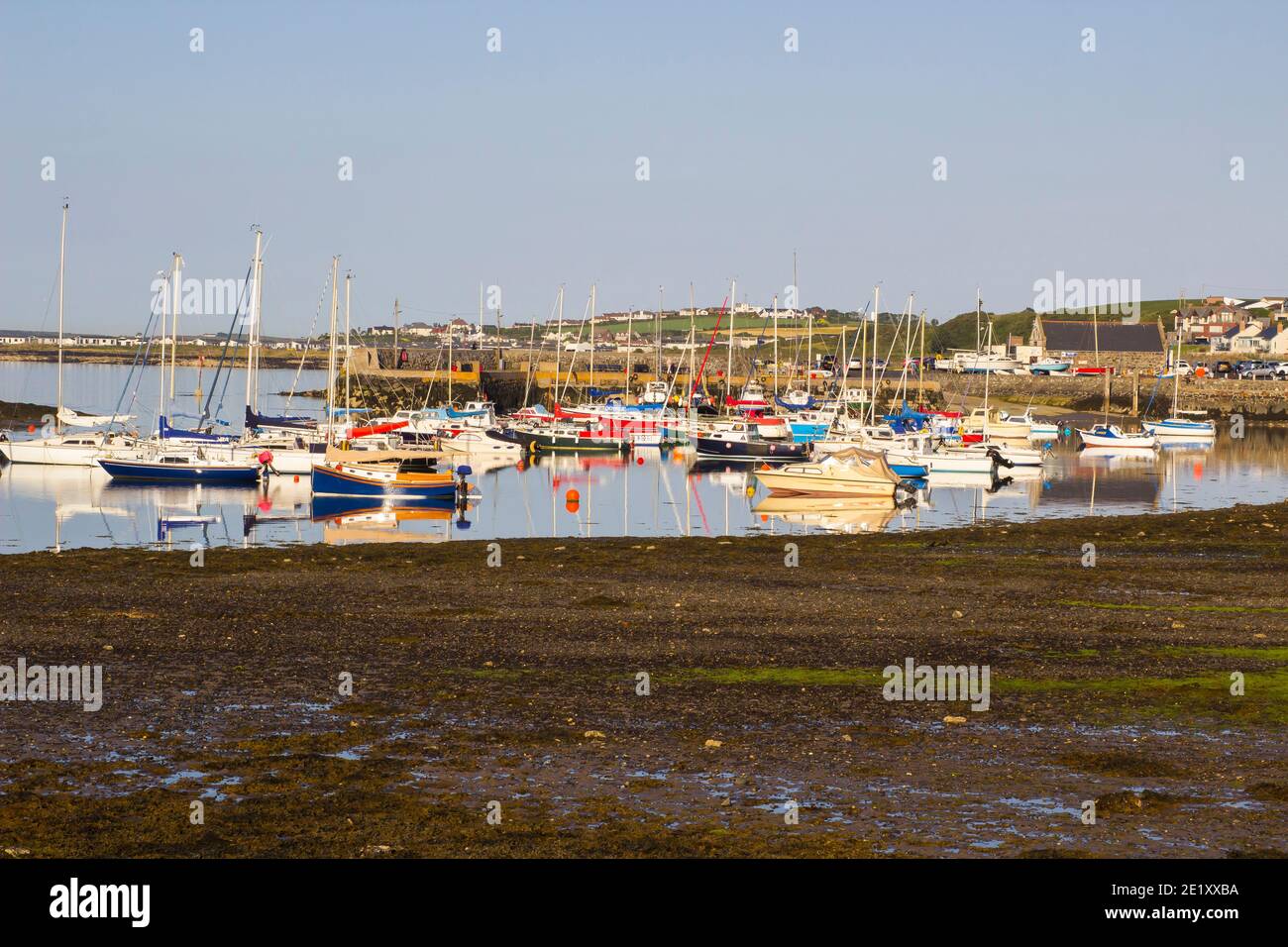 9 giugno 2018 piccole imbarcazioni da diporto e yacht sul loro moorings in una bella serata estiva a Groomsport Village Harbour Contea in Irlanda del Nord Foto Stock