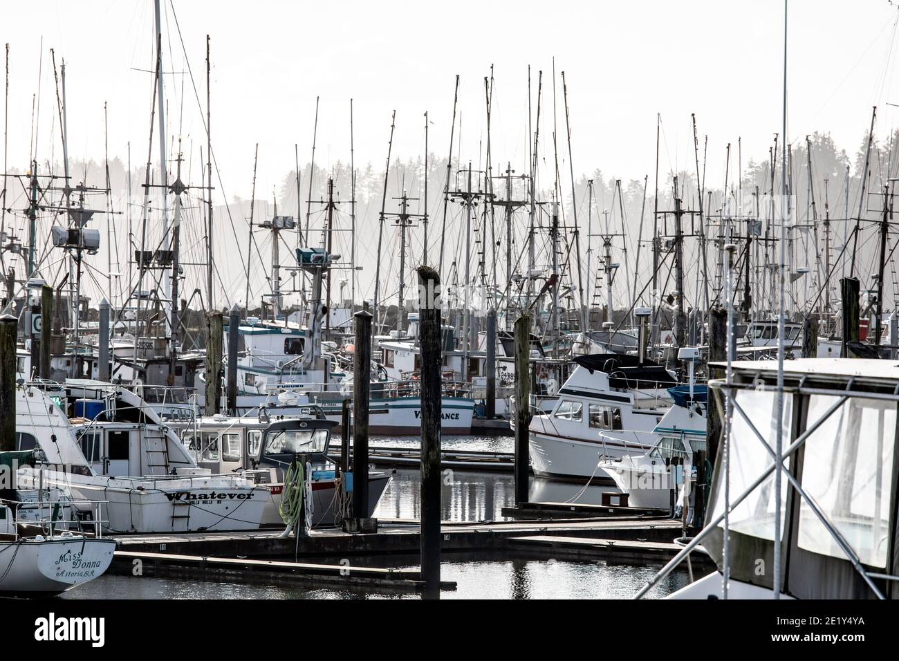 WA20066-00...WASHIHGTON - Porto di Ilwaco vicino alla foce del fiume Columbia. Foto Stock