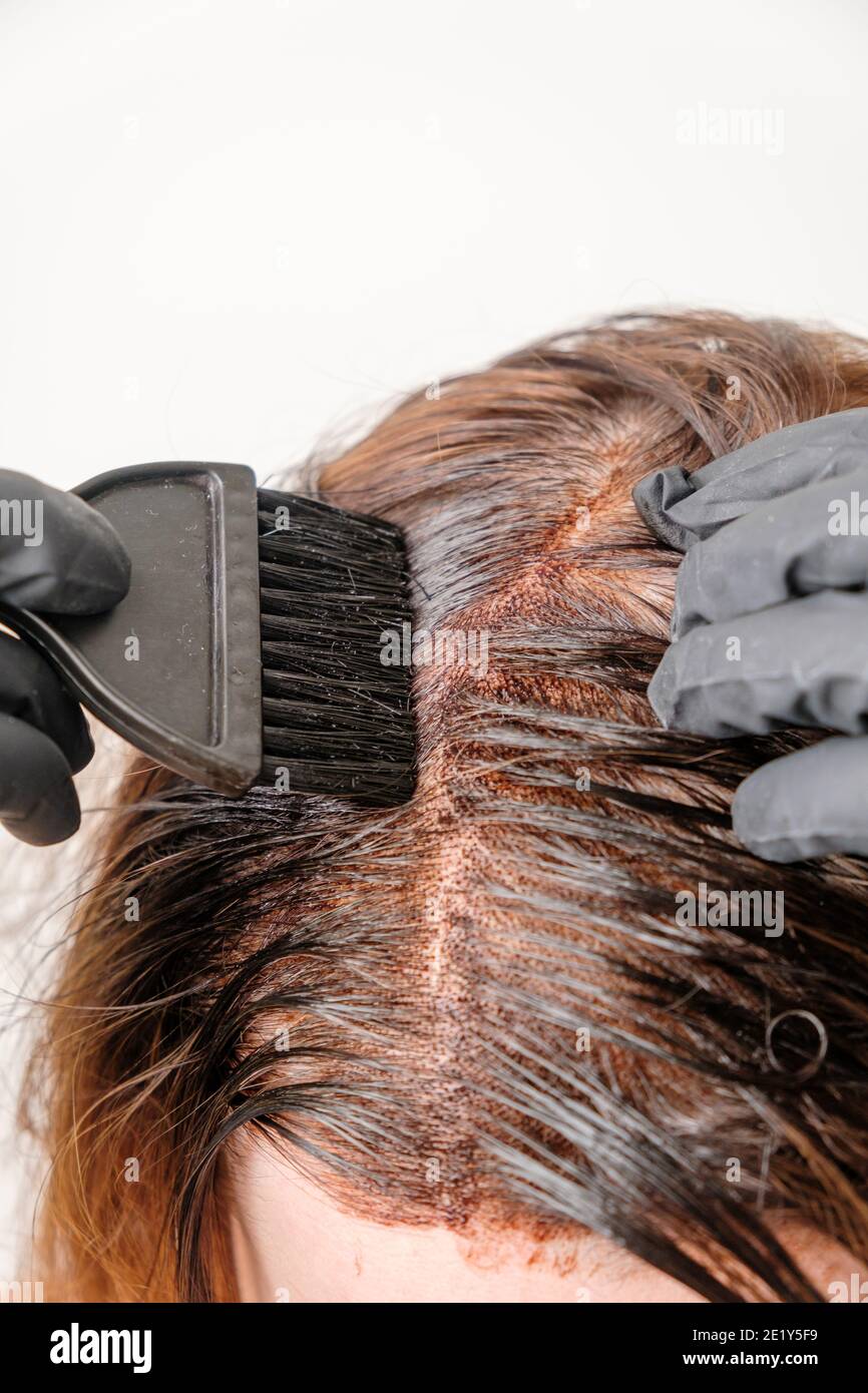 Donna che applica una tinta di colore ai capelli marroni usando una spazzola. Tintura di radici grigie di capelli a casa. Foto Stock