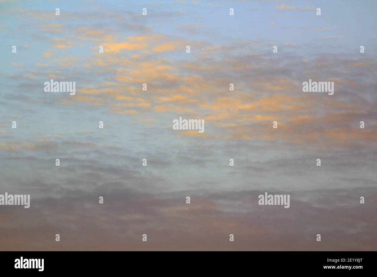 Illuminato dal basso immagini e fotografie stock ad alta risoluzione - Alamy