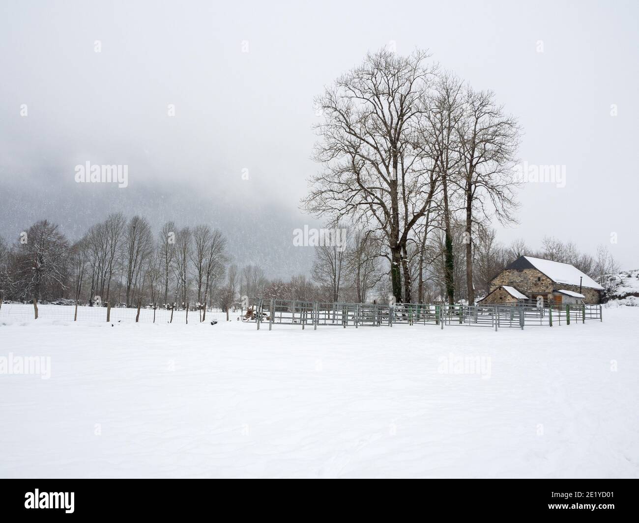 Paesaggio innevato nelle montagne dei pirenei atlantici Foto Stock
