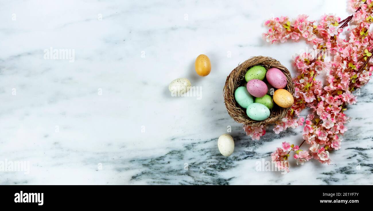 Buon concetto di Pasqua con fiori di ciliegio primaverile e nido riempito con uova su fondo di pietra Foto Stock