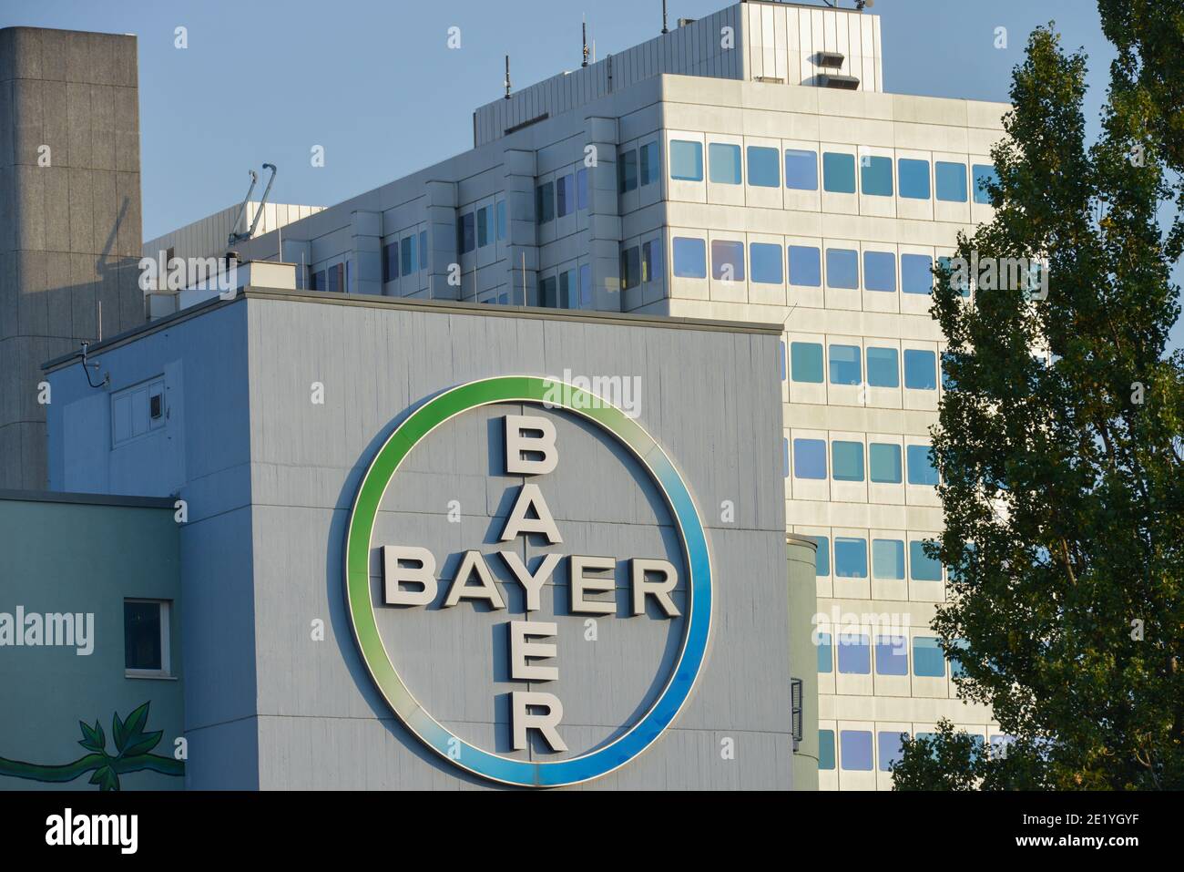 Bayer, Pharma, Muellerstrasse, Wedding, Mitte, Berlino, Germania Foto Stock