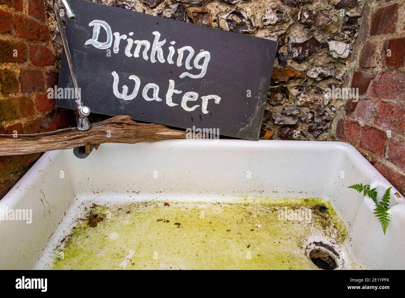 Un affondamento sporca del buller con una felce che cresce fuori il plughole che offre acqua potabile Foto Stock