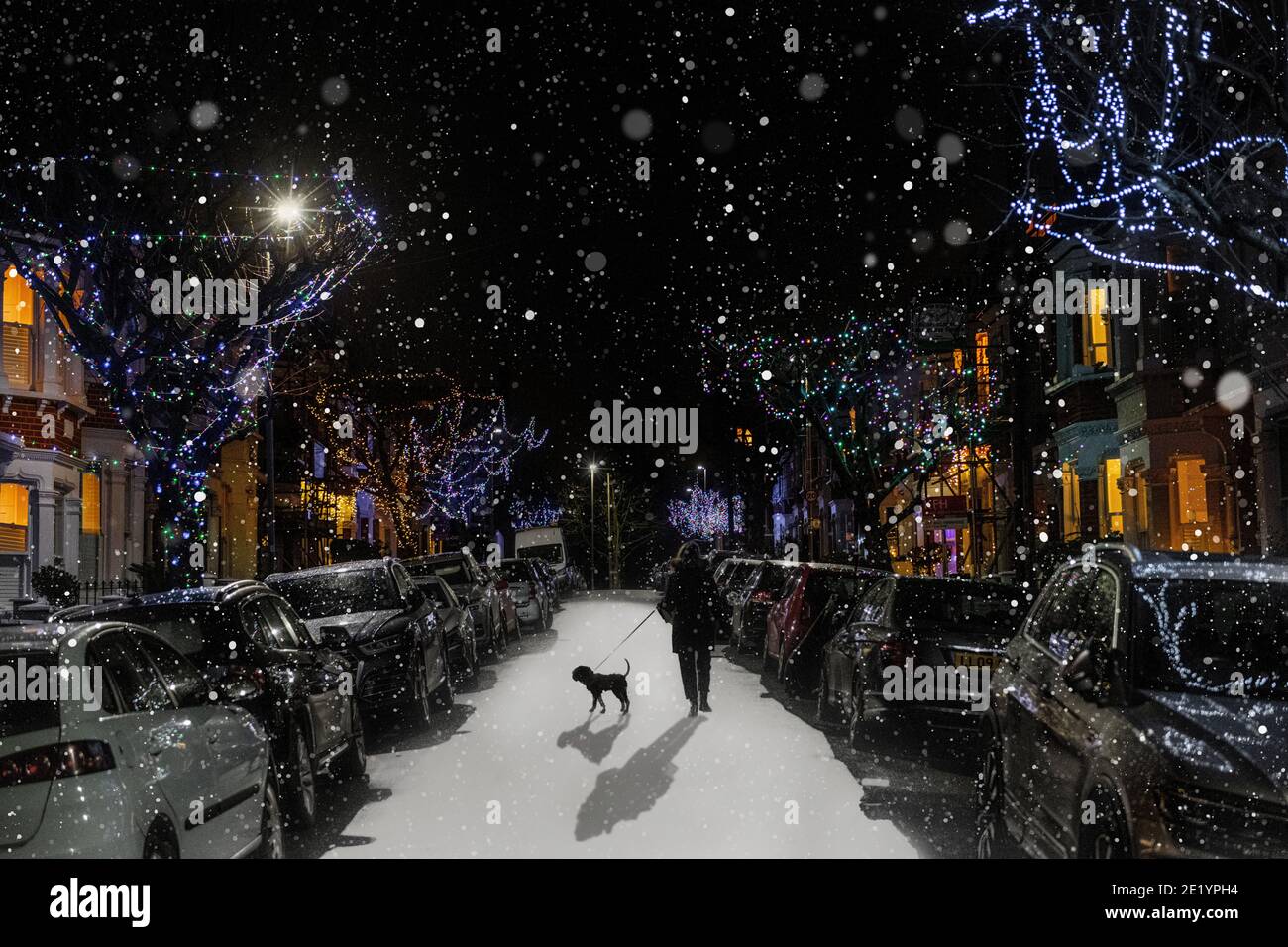 Una donna cammina il suo dpog amogst le luci di Natale dentro la neve Foto Stock