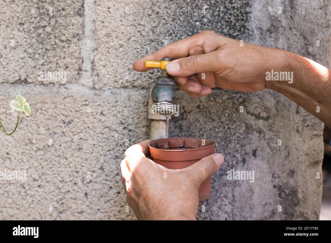 mani di donna che aprono il rubinetto d'acqua nel giardino Foto Stock