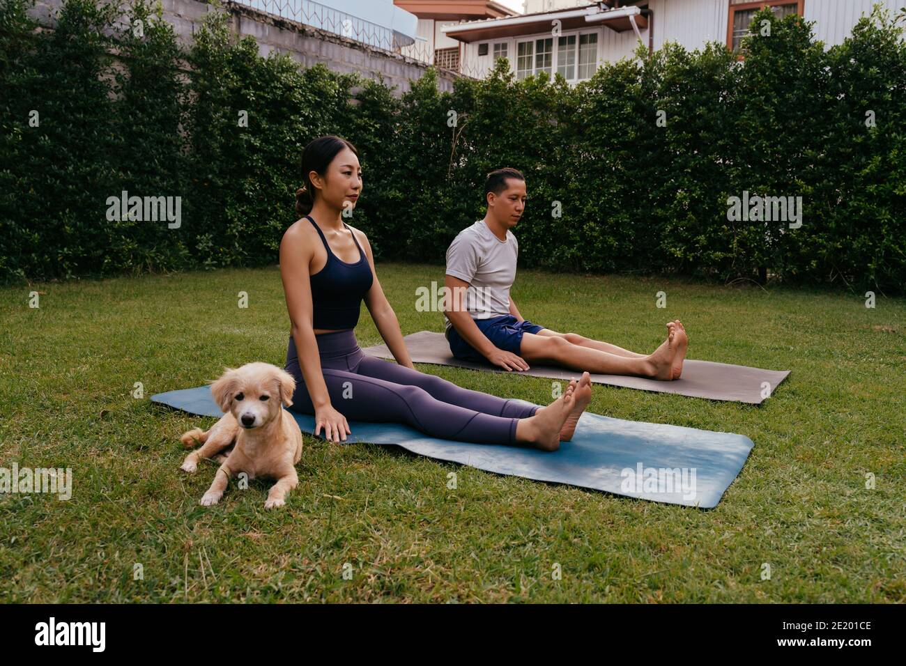 L'uomo e la donna asiatici seduti sui tappetini in posa del personale mentre si pratica yoga in cortile vicino al cane Foto Stock