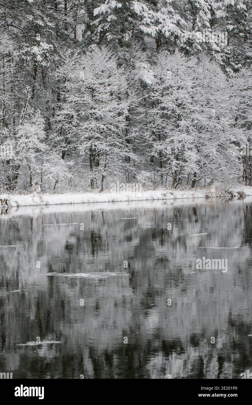 Paesaggio invernale di alberi sul bordo del fiume. Neve sui rami di alberi. Riflesso della neve nel fiume. Enormi rondate di neve si trovano sulla Banca di Foto Stock