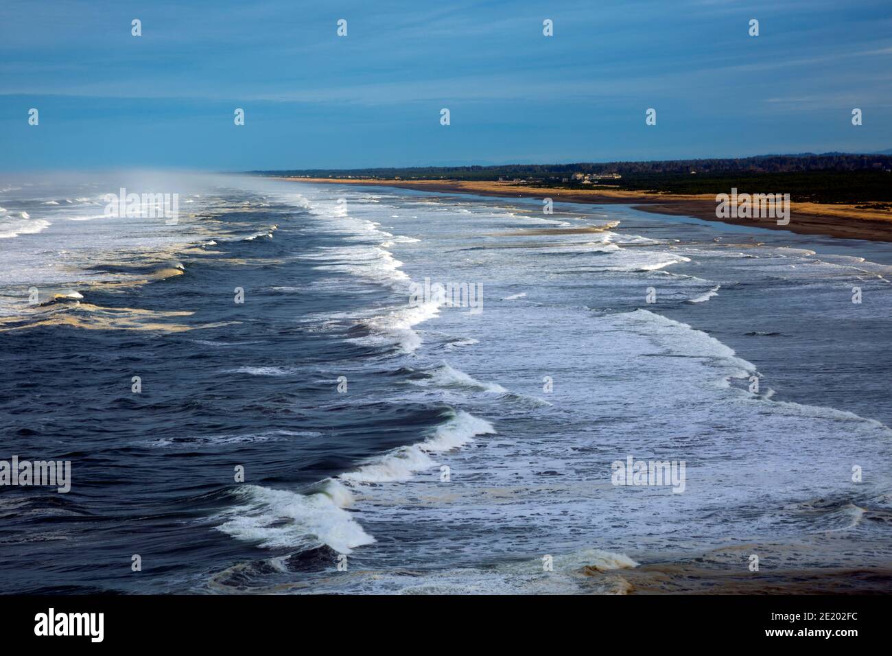 WA19076-00....WASHINGTON - le onde che si dirigono verso la riva a Long Beach visto dal Bell's View Trail a Cape deludono lo Stato Park. Foto Stock
