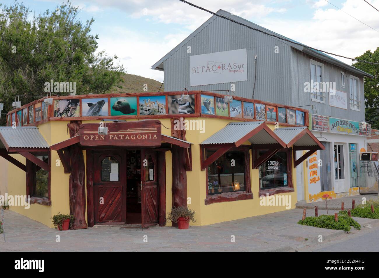 Open Patagonia Tour Agency, Puerto Piramides, Peninsula Valdes, Provincia di Chubut, Argentina meridionale 25 novembre 2015 Foto Stock