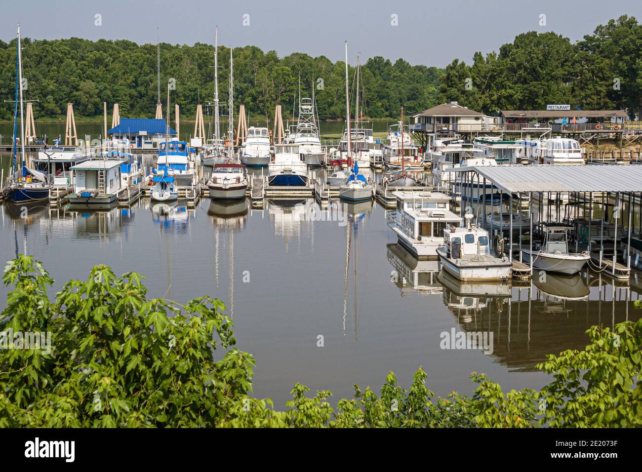 Alabama Demopolis fiume Tombigbee Yacht bacino acqua marina, ristorante molo barche yacht, Foto Stock