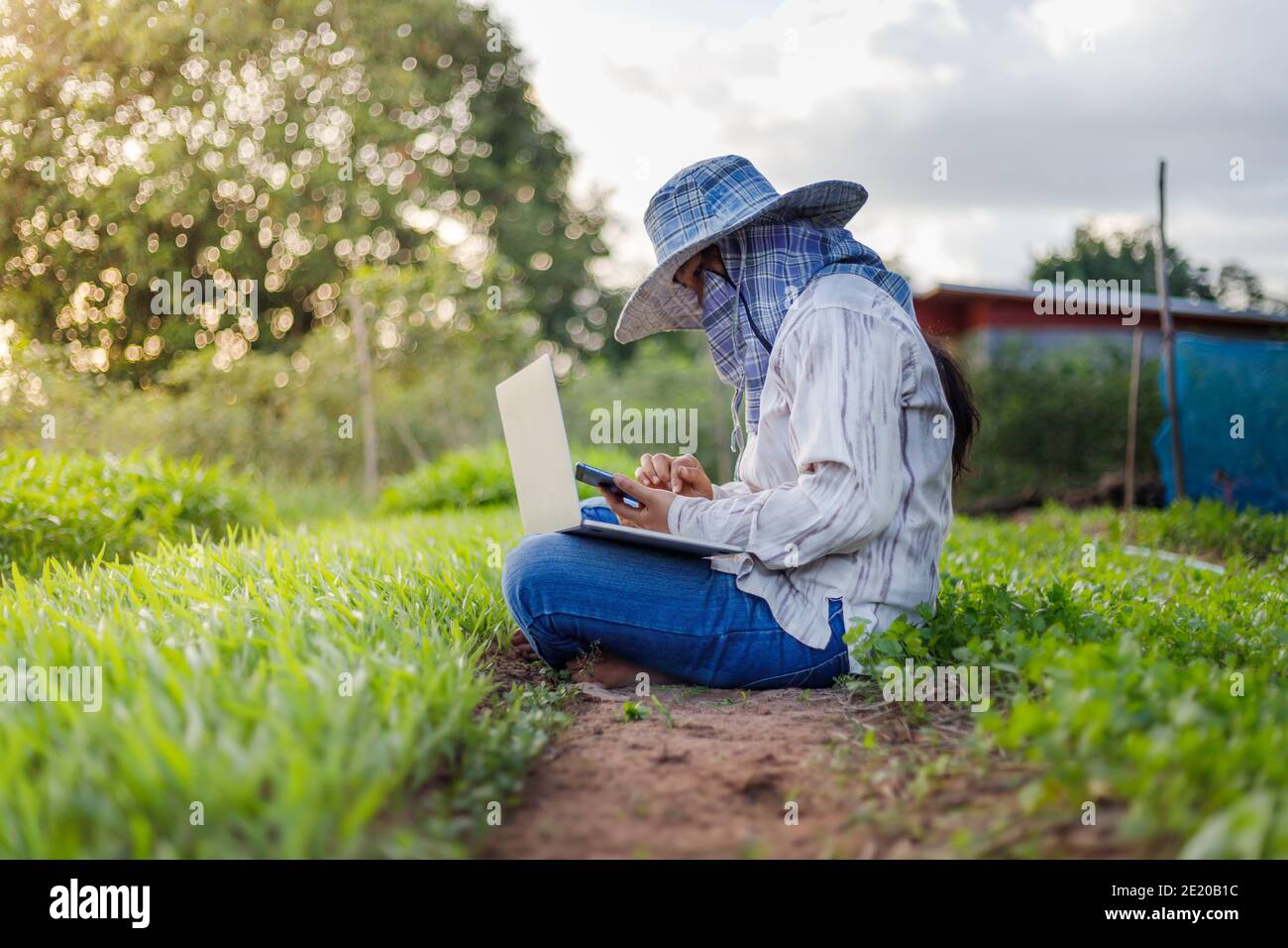 Coltivatore tailandese utilizzando uno smartphone nella fattoria di ortaggi gloria mattina, per il concetto di agricoltura biologica e intelligente, selezionare fuoco profondità di campo poco profonda Foto Stock