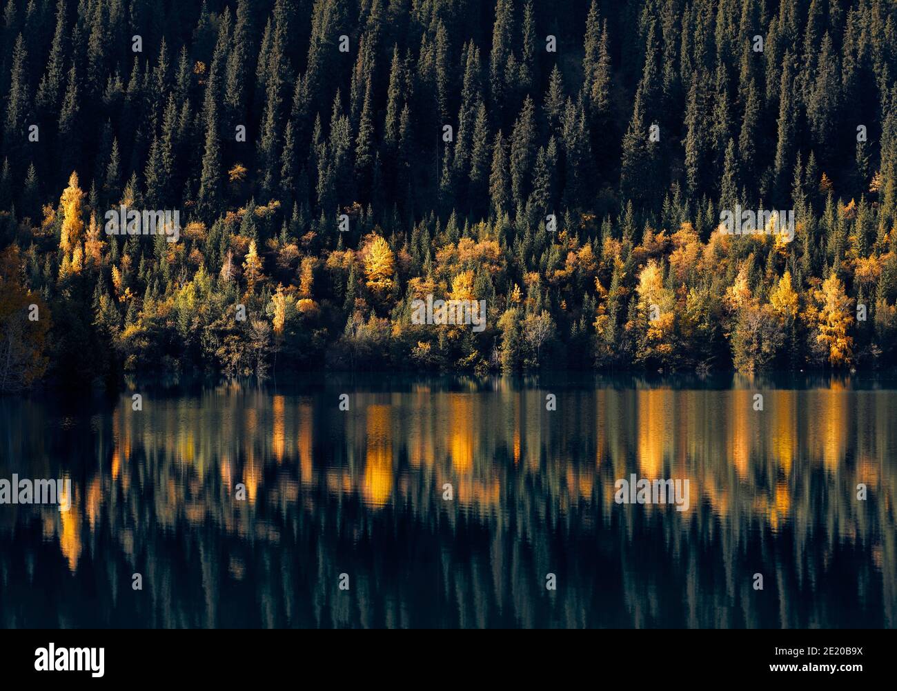 Paesaggio montano di alberi gialli foresta autunno e abete verde Con la riflessione sul lago Issyk in Kazakistan Foto Stock