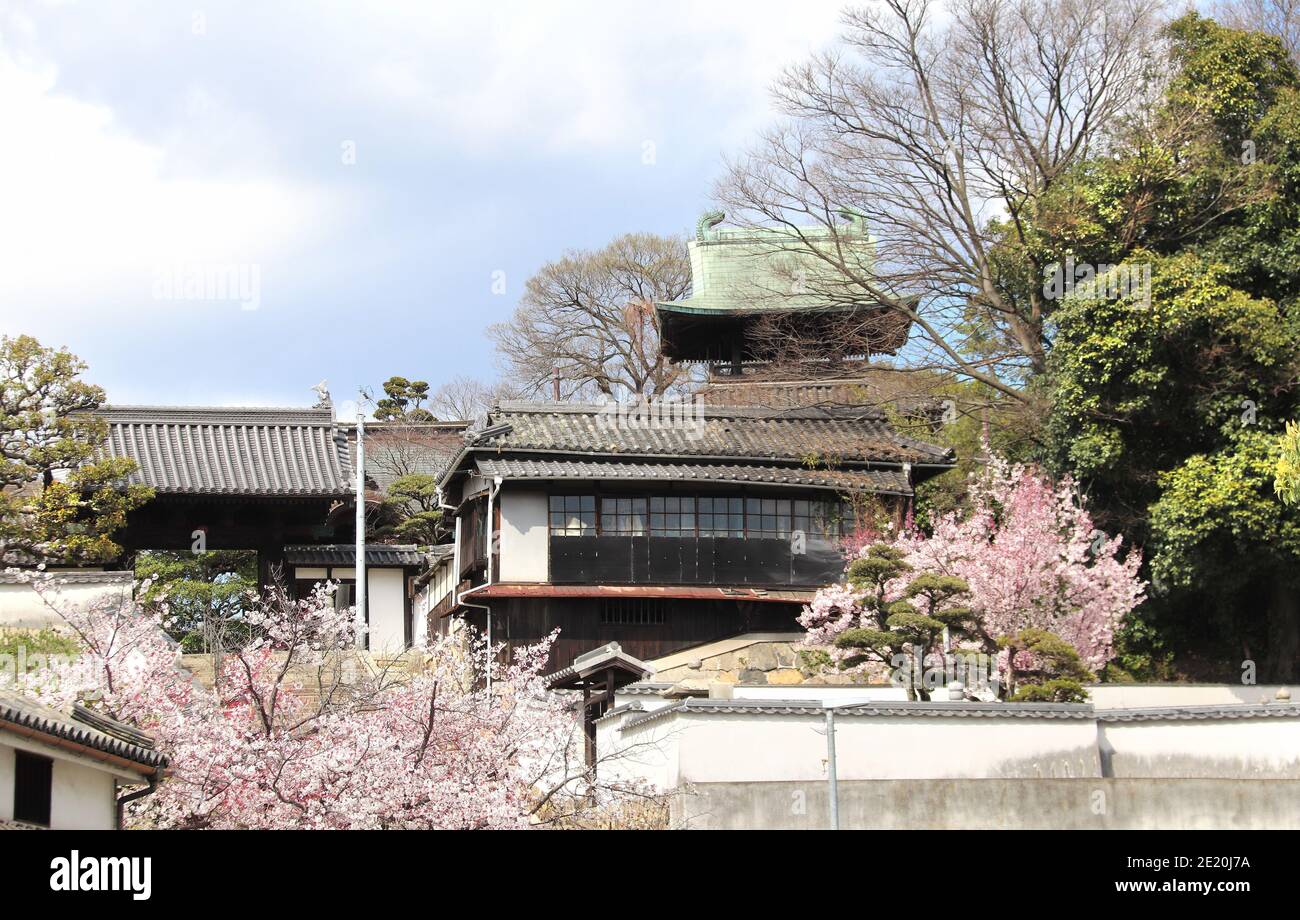 Case medievali tradizionali giapponesi e magazzini nel quartiere di Bikan, Kurashiki città, Giappone. Stagione in fiore Sakura Foto Stock