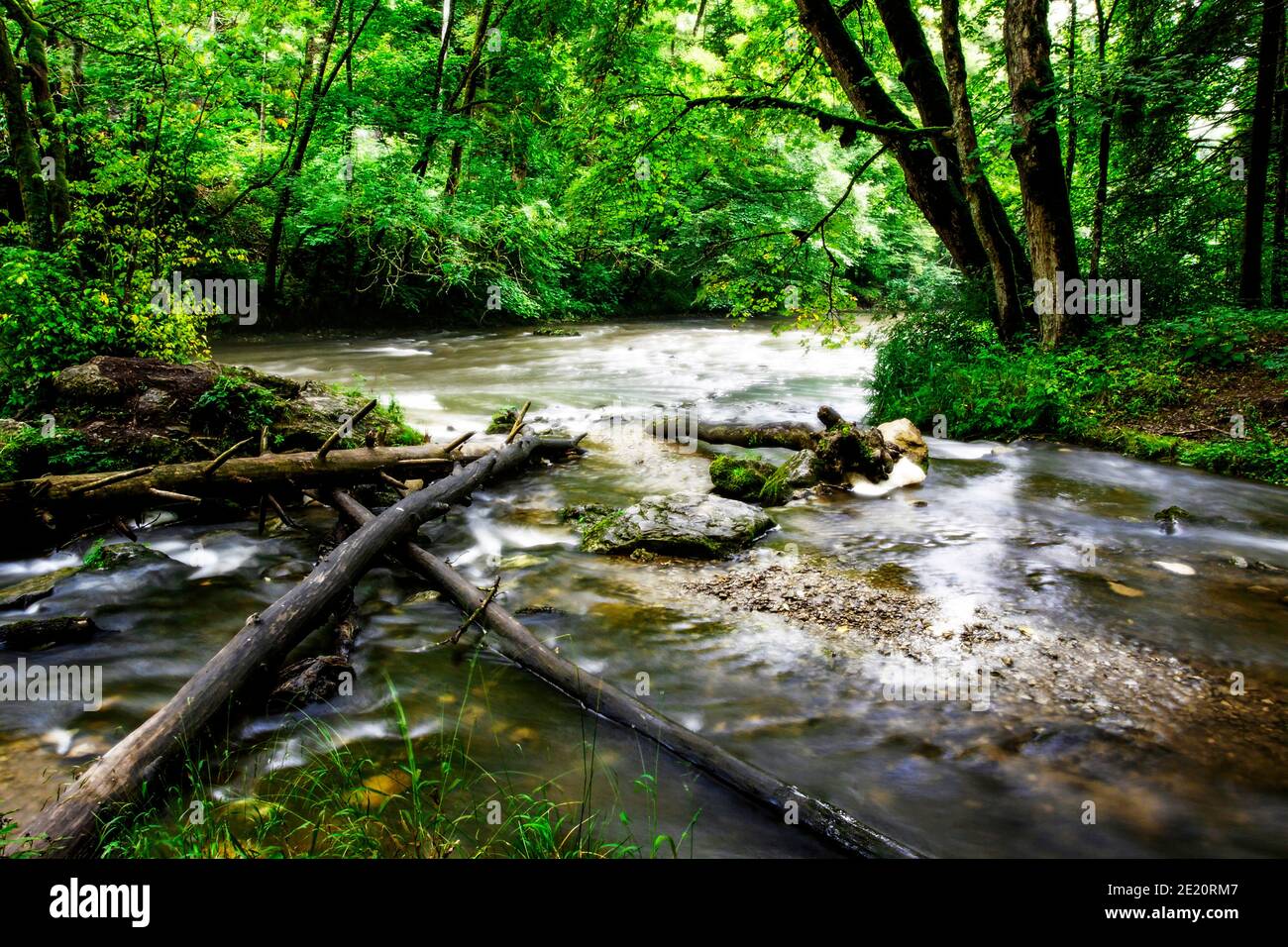 Gola di Wutach nella Foresta Nera, dove si incontrano i fiumi Wutach e Gauchach, Schwarzwald, Baden-Würtemberg, Deutschland, Europa Foto Stock