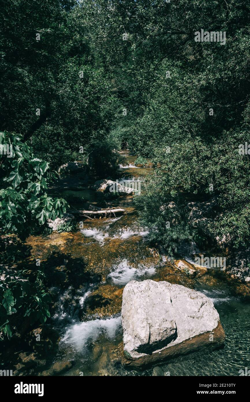 Paesaggio di montagne verdi in Sadernes, catalogna, spagna Foto Stock