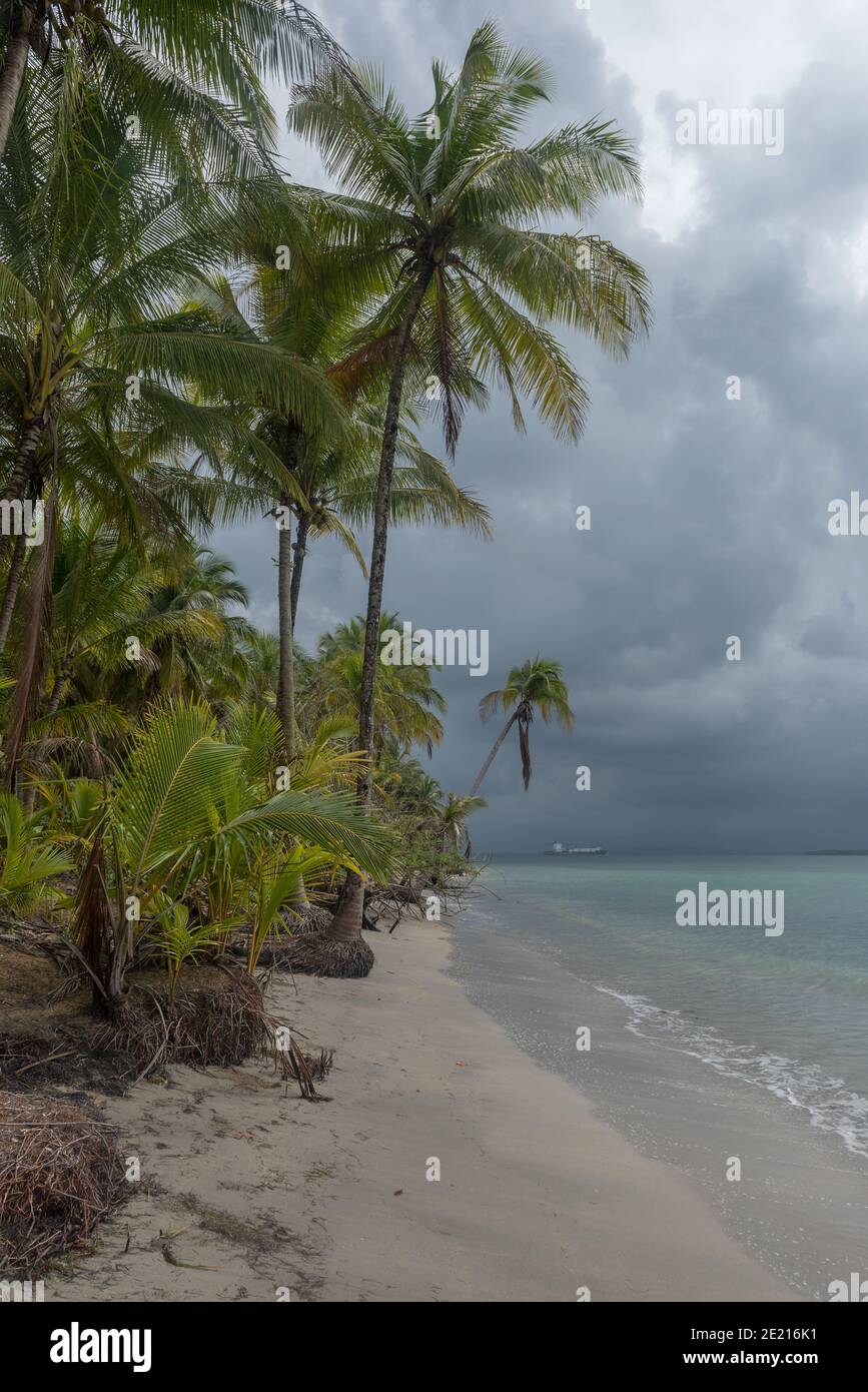 Spiaggia di stelle marine a Bocas del Toro, Panama Foto Stock