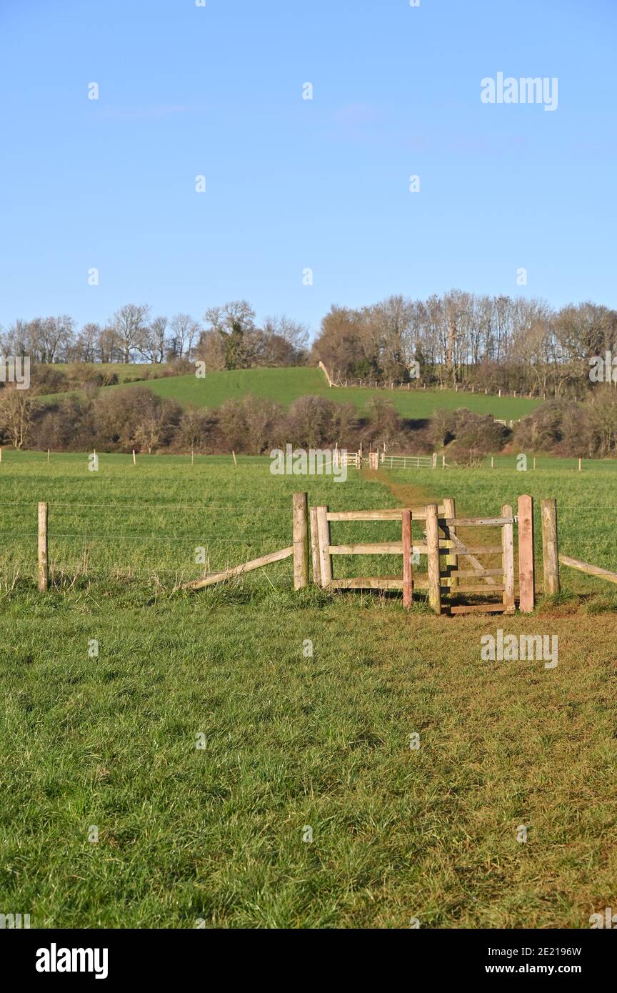 Baciare le porte nei campi di una fattoria vicino al nord Oxfordshire villaggio di Hook Norton Foto Stock