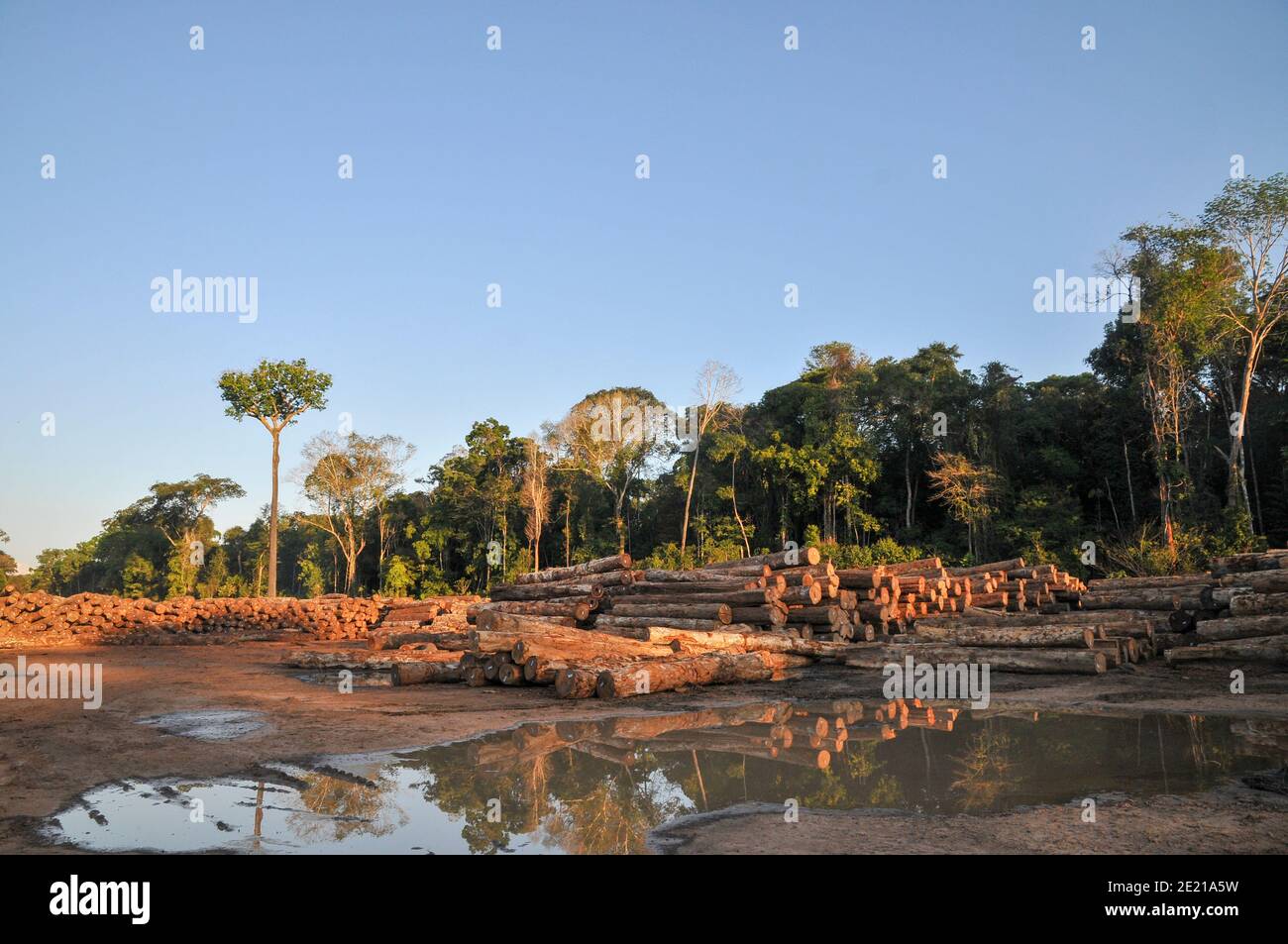 Le attività di disboscamento nella foresta pluviale brasiliana causano la deforestazione su larga scala ed erosione di terra Foto Stock