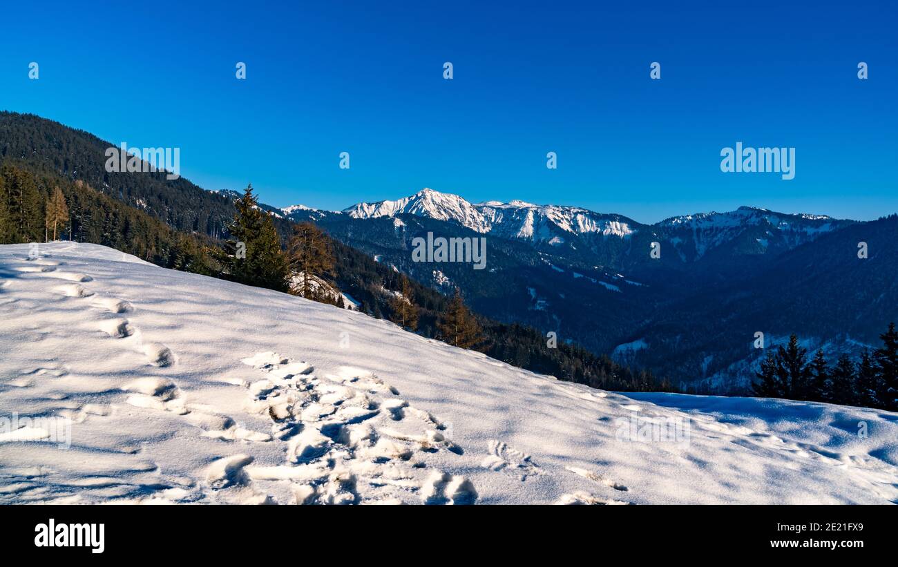 Paesaggio con la vista sulla montagna Hoher Freschen, montagna innevata e campo, un rifugio soggiorno ai margini della foresta, cielo blu in Vorarlberg Austria Foto Stock