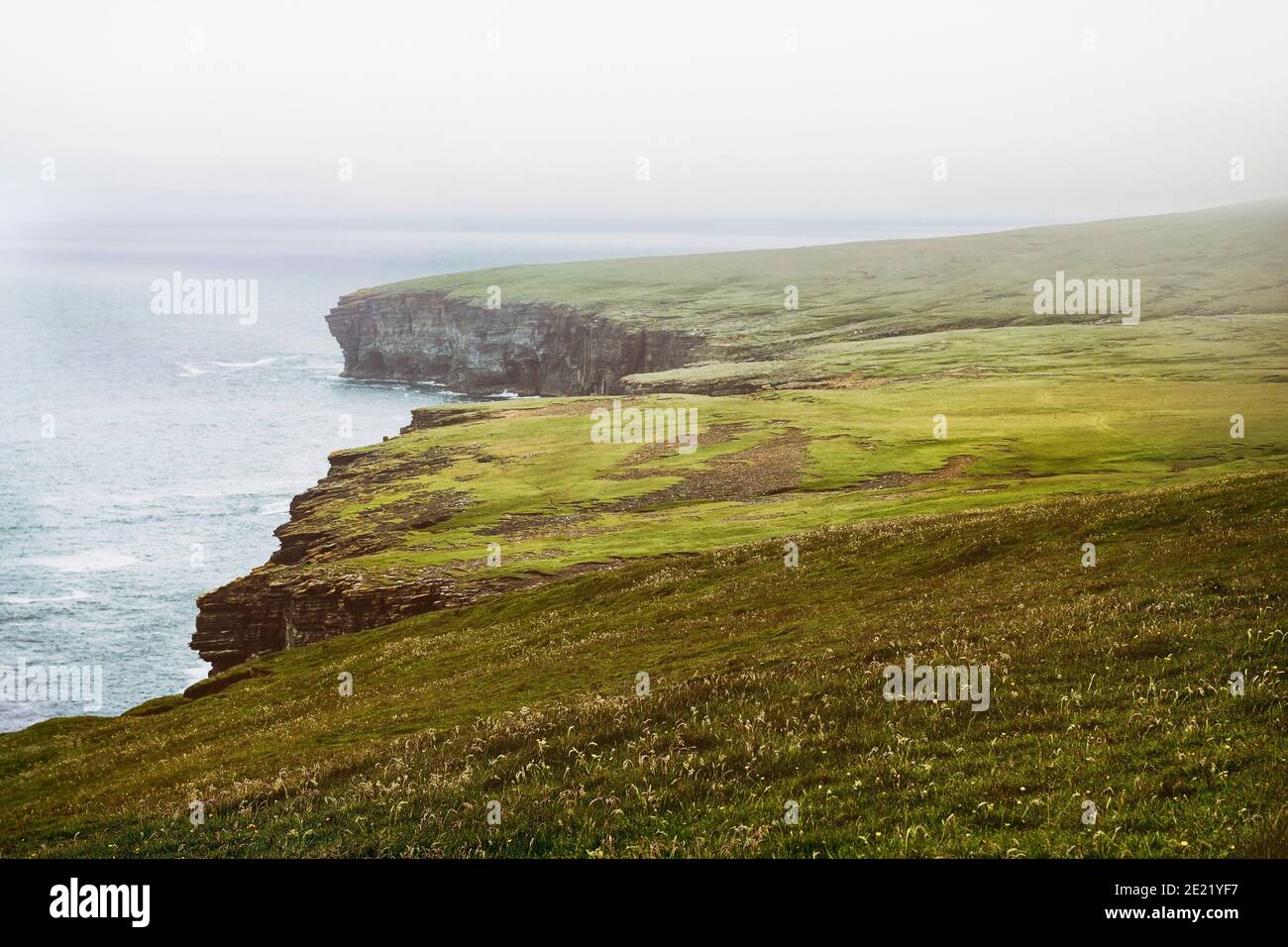 Misty giorno sulle scogliere delle isole Orkney nel nord della Scozia Foto Stock