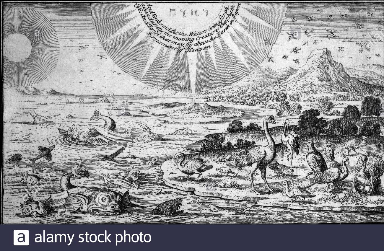 Creazione di uccelli e pesci, dalla Genesi 1:20-23, incisione da etcher boemo Venceslao Hollar dal 1600 Foto Stock