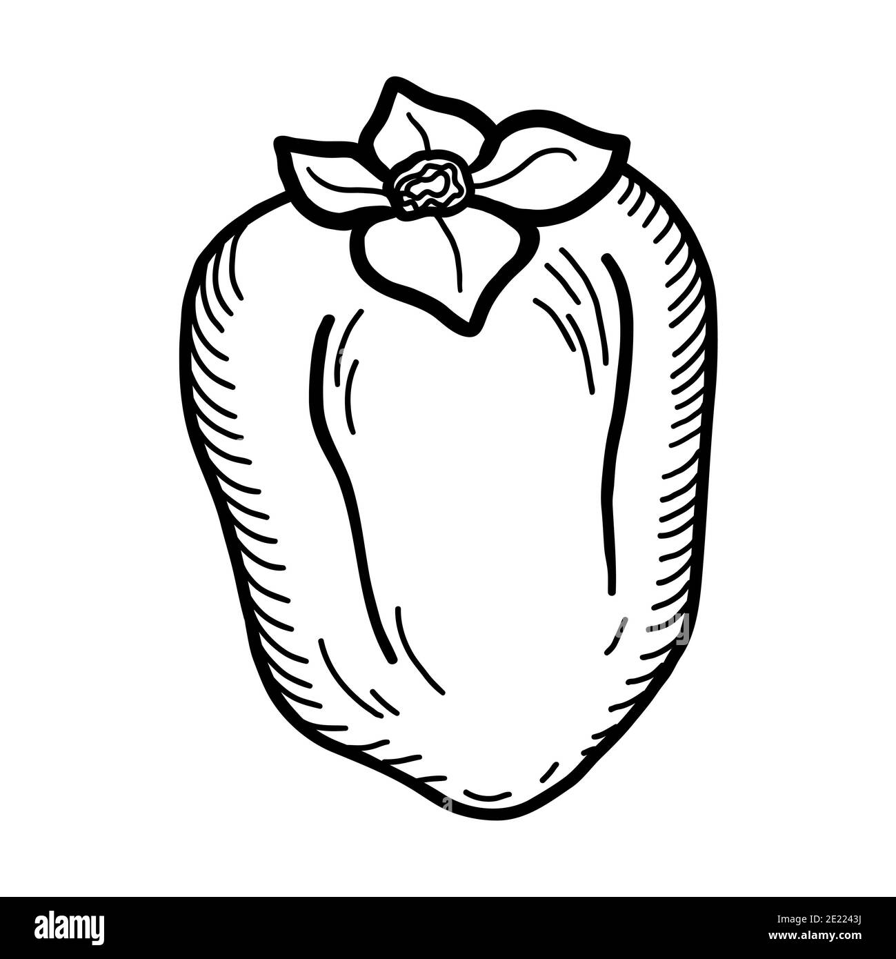 Persimmon. Mano tirato doodle persimmon frutta illustrazione isolato su sfondo bianco. Icona cibo, Foto Stock