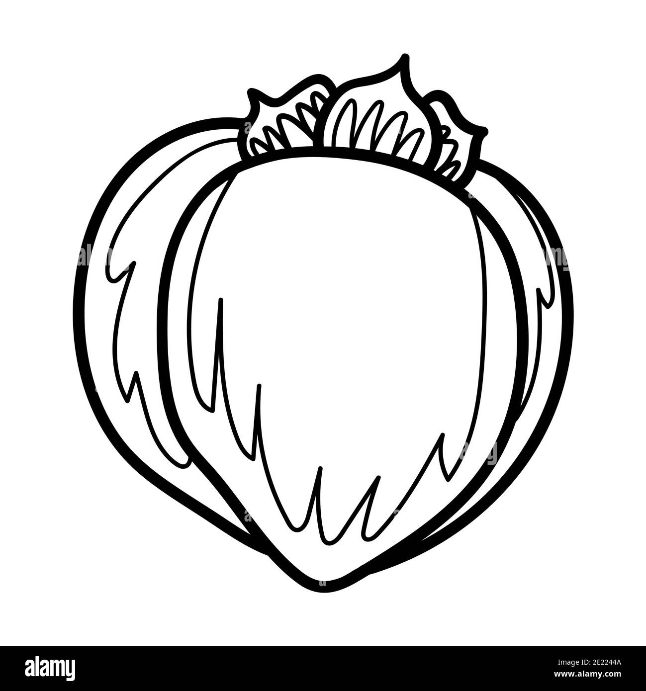 Persimmon. Mano tirato doodle persimmon frutta illustrazione isolato su sfondo bianco. Icona cibo, Foto Stock