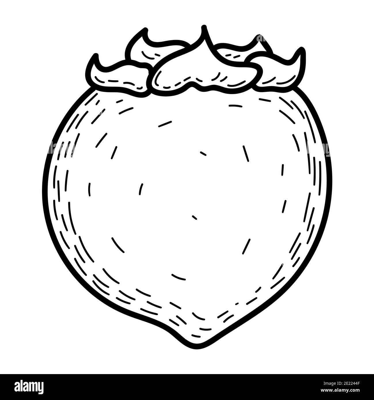 Persimmon. Mano tirato doodle persimmon frutta illustrazione isolato su sfondo bianco. Icona cibo, Foto Stock