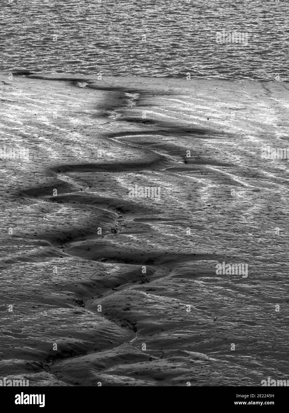 Fiume intertidale mudflats mostra meandri modelli per l'acqua. Estuario di Torridge, Devon, Inghilterra. Foto Stock