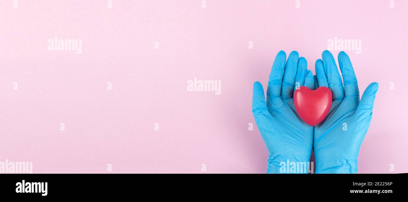 Il medico le mani con i guanti medici blu che tengono il cuore rosso su sfondo rosa. Banner per sito web con spazio di copia Foto Stock