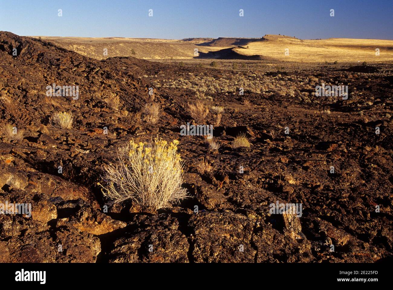 La Lava Cratere di flusso, crateri di Diamante Eccezionale area naturale, Diamante nazionale Loop Back Country Byway, Harney County, Oregon Foto Stock