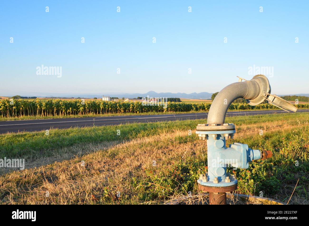 Pompa dell'acqua per il sistema di irrigazione agricolo per la coltura del mais. Foto Stock