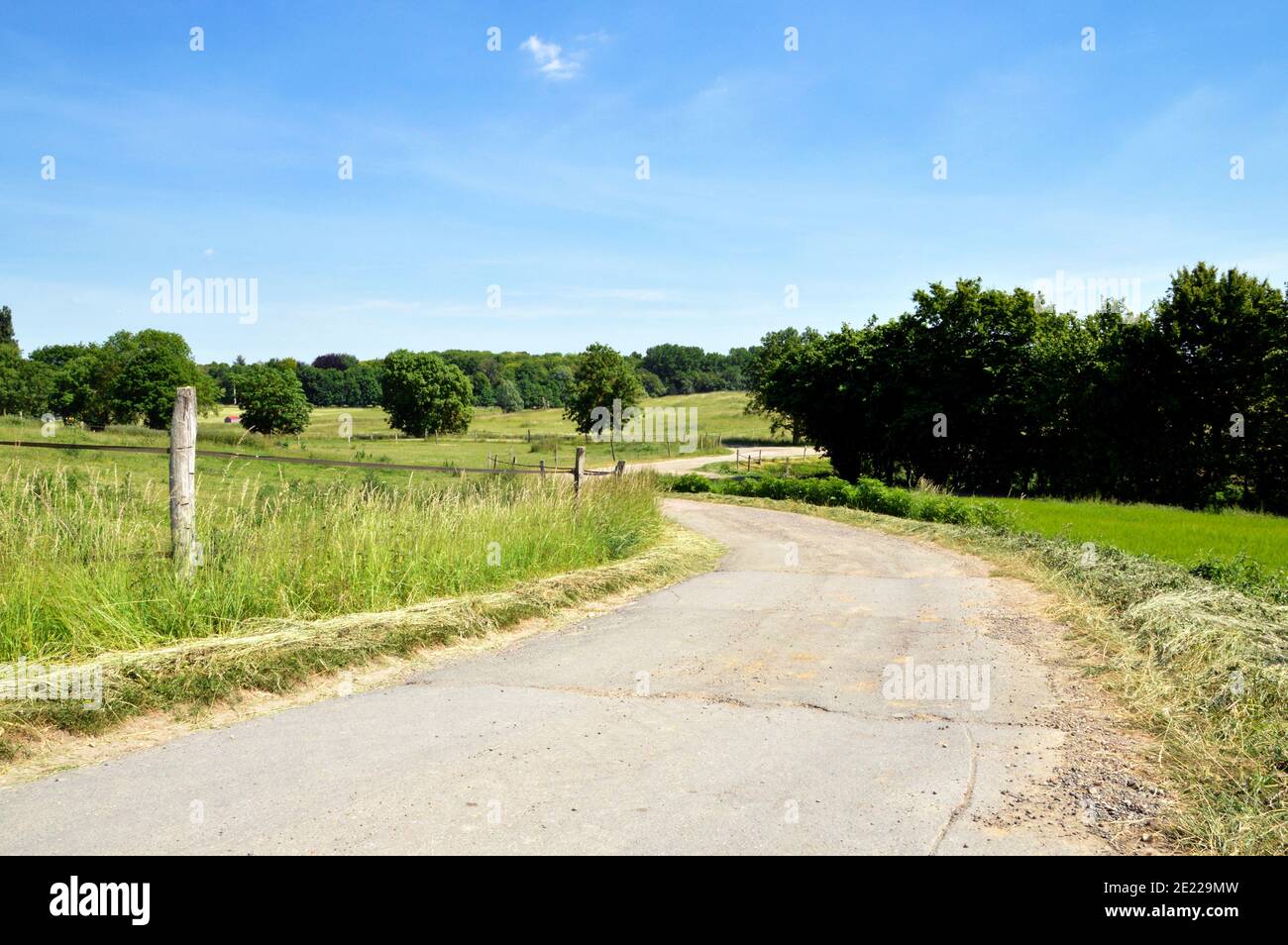 Una strada di campagna in un paesaggio verde durante la primavera. Foto Stock