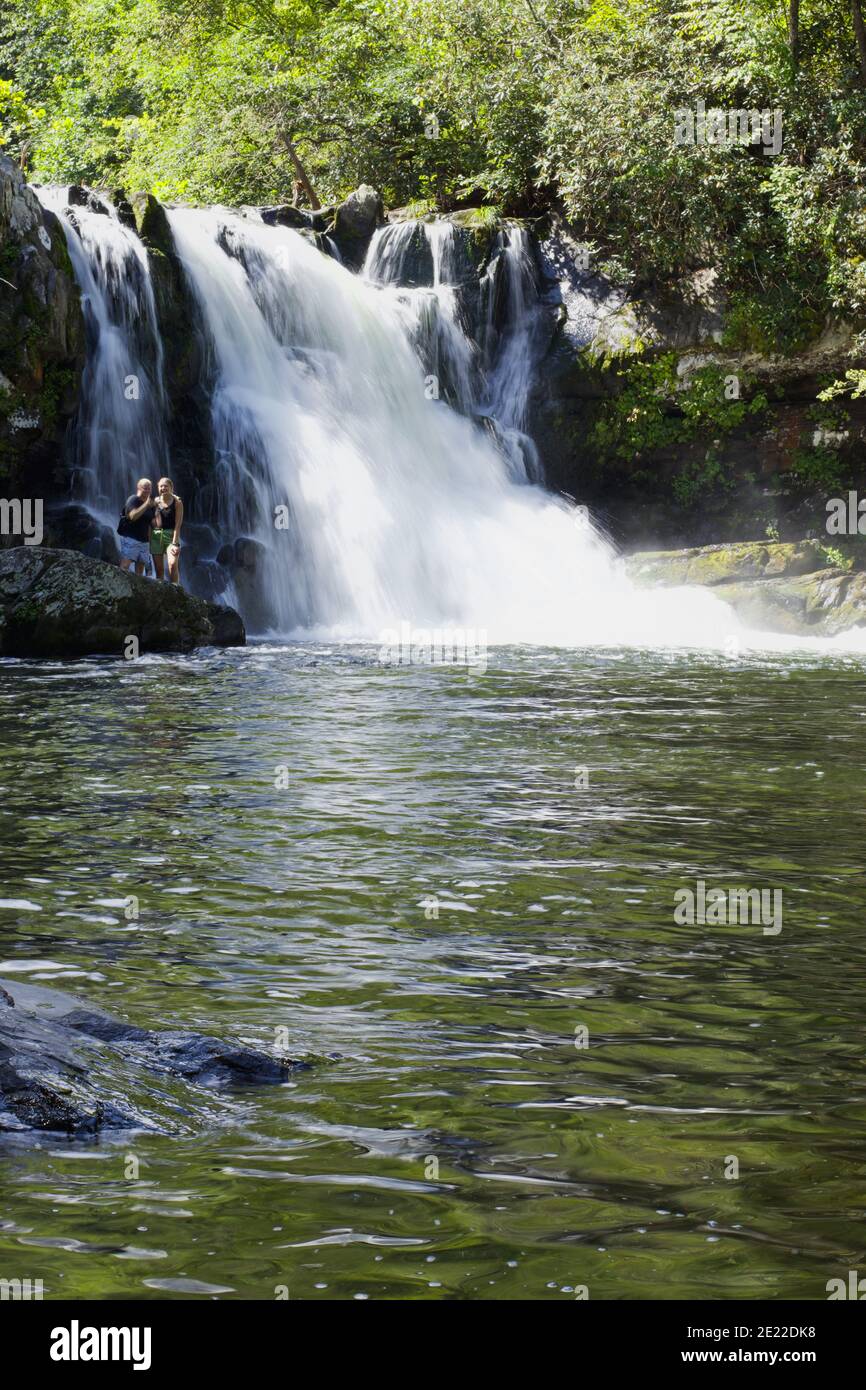 L'acqua cade su un ruscello Foto Stock