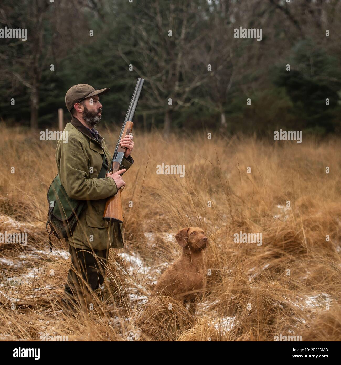 hunter e il suo gundog su un picchetto di cazzo Foto Stock