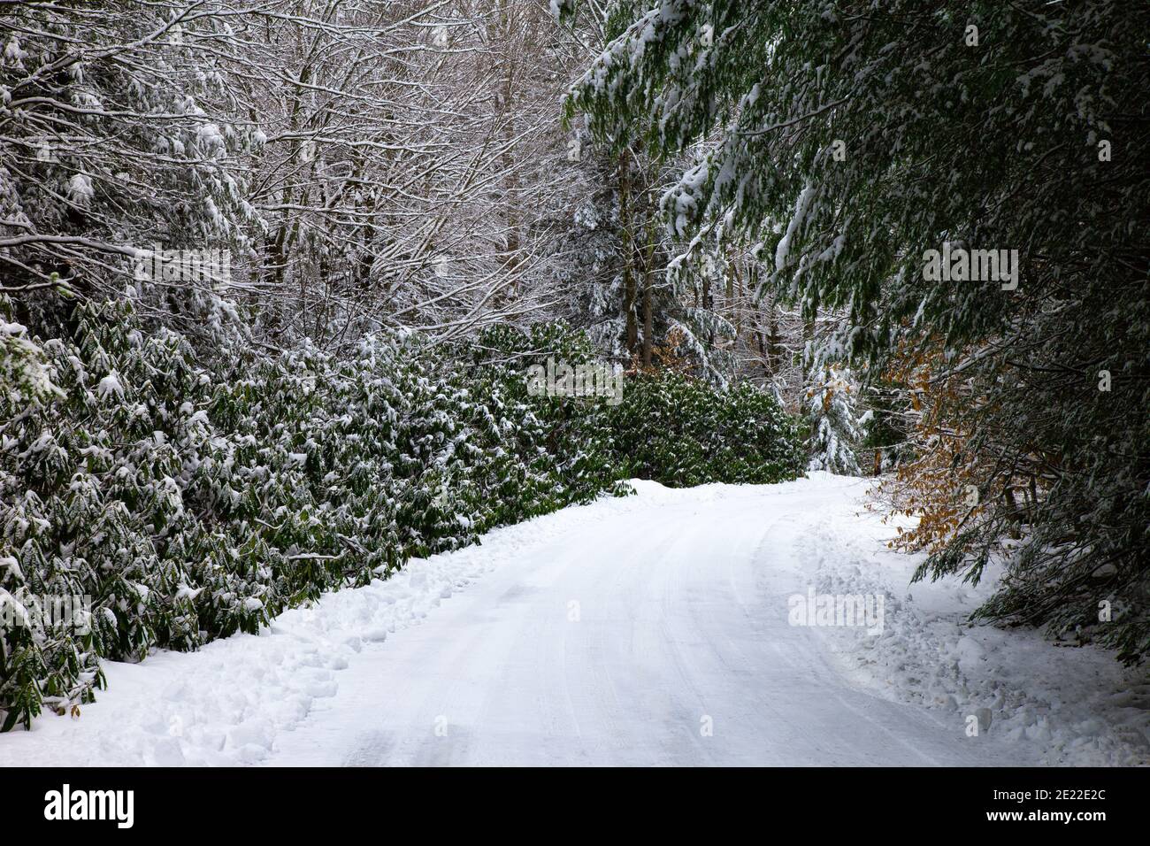 Una strada di campagna innevata sulle Pocono Mountains in Pennsylvania. Foto Stock