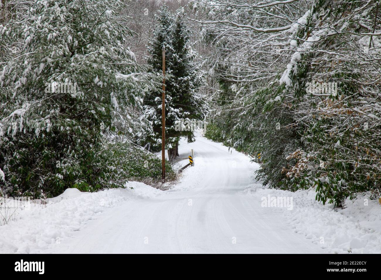 Una strada di campagna innevata sulle Pocono Mountains in Pennsylvania. Foto Stock