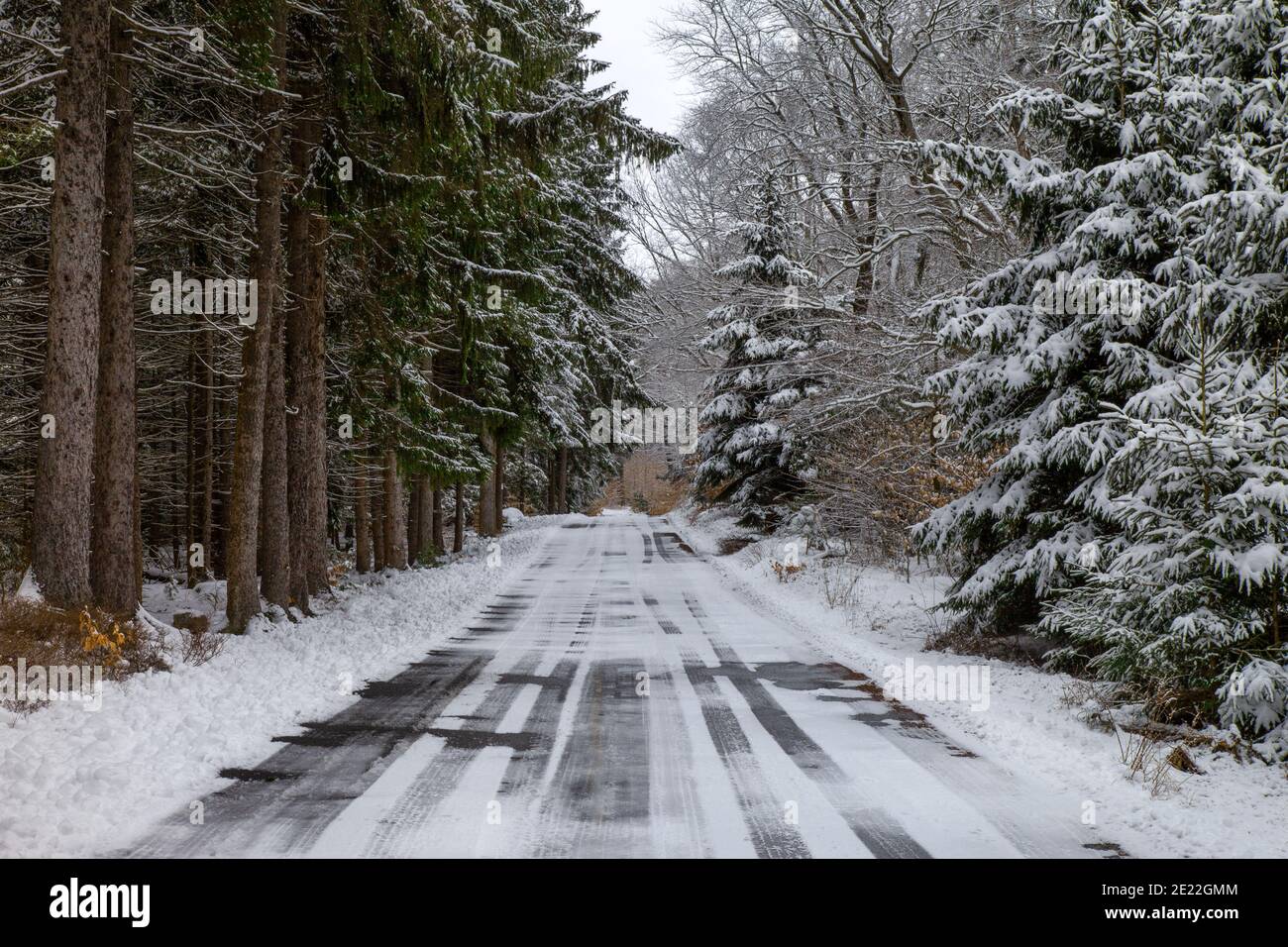 Una strada coperta di neve nel Promised Land state Park, Pocono Mountains, Pennsylvania Foto Stock