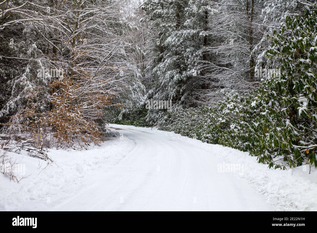 Una strada di campagna innevata sulle Pocono Mountains in Pennsylvania. Foto Stock